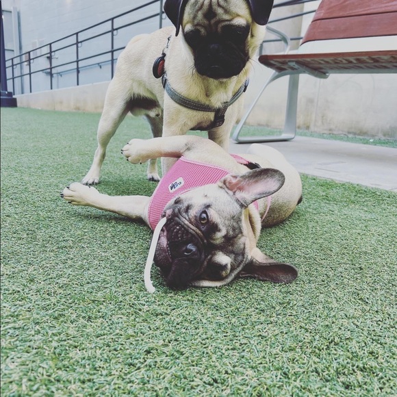 Meet your Posher, Nicholas - Picture 7 of 7